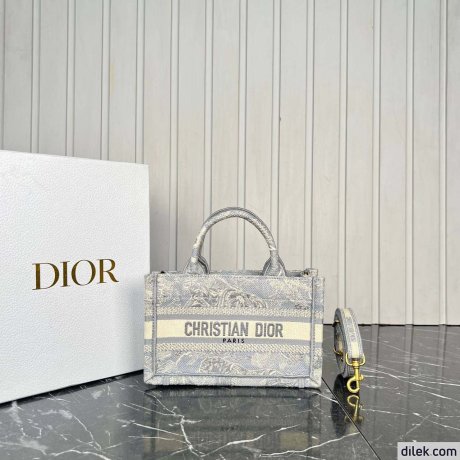 Dior Mini Book Tote
