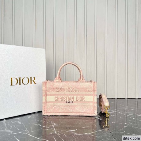 Dior Mini Book Tote
