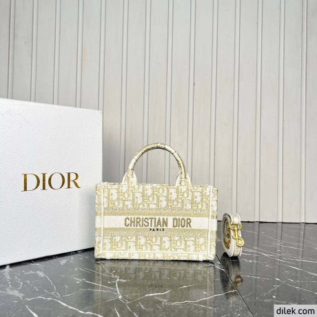 Dior Mini Book Tote