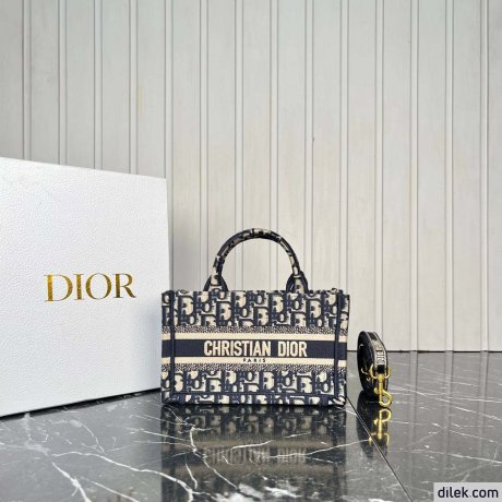 Dior Mini Book Tote