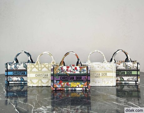 Dior Mini Book Tote
