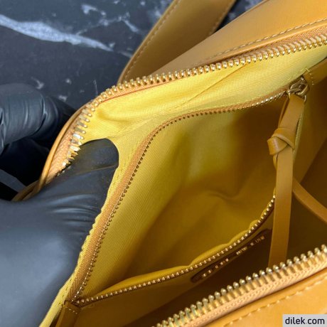 Miu Miu Arcadie Leather Bag