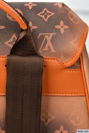 Louis Vuitton Montsouris Backpack