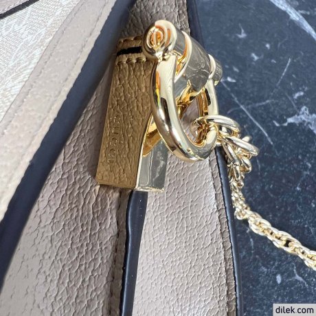 Gucci Ophidia GG Mini Shoulder Bag