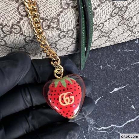 Gucci Ophidia Small Handbag