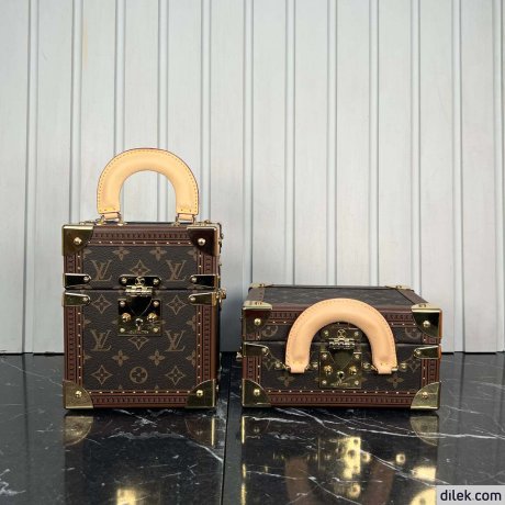 Louis Vuitton Petite Valise