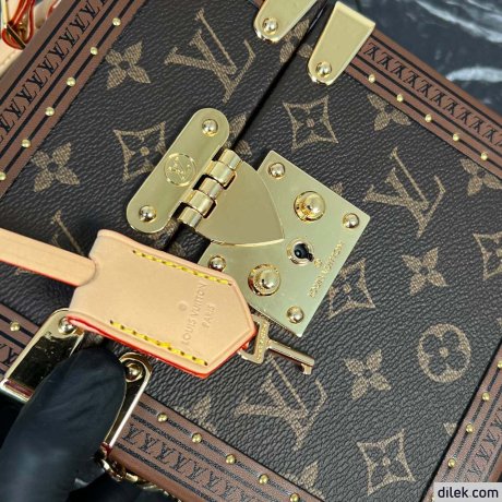 Louis Vuitton Petite Valise