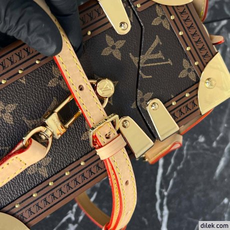 Louis Vuitton Petite Valise