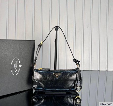 Prada Re-Edition 2002 Medium Leather Shoulder Bag