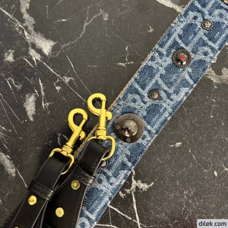 Dior Saddle Bag With Strap