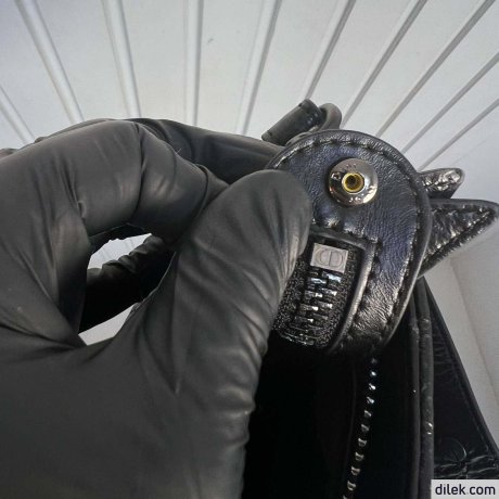 Small Lady D-Sire My ABCDior Bag
