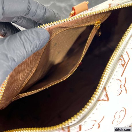 Louis Vuitton Speedy Bandouliere 25