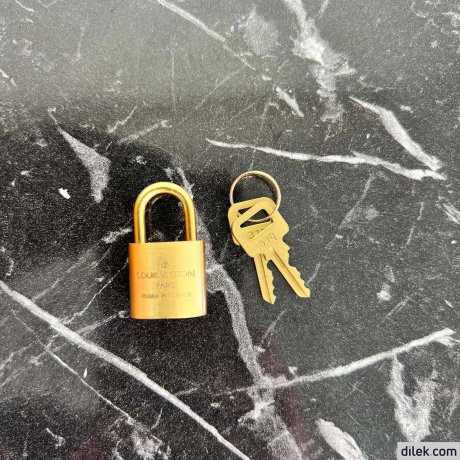 Louis Vuitton Speedy Bandouliere 25