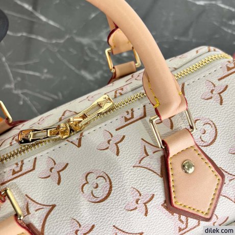 Louis Vuitton Speedy Bandouliere 25