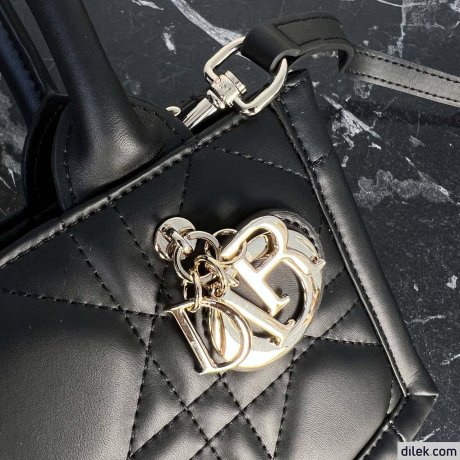 Dior Mini Book Tote