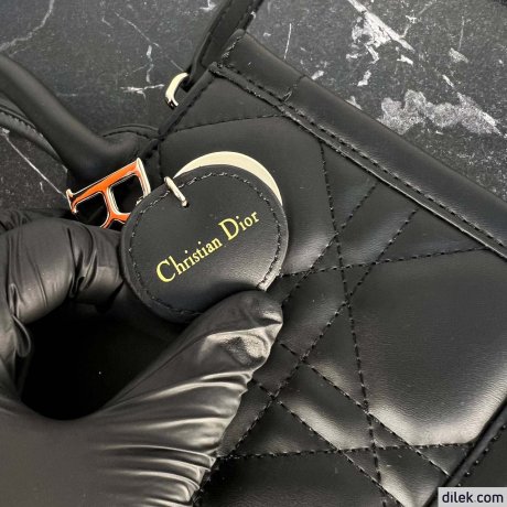 Dior Mini Book Tote