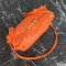 Bottega Veneta Loop Camera Bag