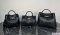 Bottega Veneta Small Andiamo