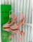 Bottega Veneta Sparkle Stretch Leather Sandals