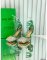 Bottega Veneta Sparkle Stretch Leather Sandals