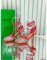 Bottega Veneta Sparkle Stretch Leather Sandals