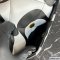 Chanel 19 Handbag