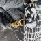 Chanel 22 Chain Hobo Quilted Wool Tweed