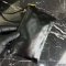 Chanel 22 Medium Handbag