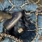 Chanel 22 Small Denim Handbag