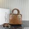 Dior Medium Lady Dior Bag