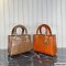 Dior Medium Lady Dior Bag