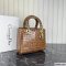 Dior Medium Lady Dior Bag