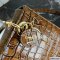 Dior Medium Lady Dior Bag