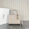 Dior Medium Lady Dior Bag