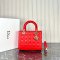Dior Medium Lady Dior Bag