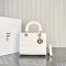Dior Medium Lady Dior Bag
