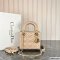 Dior Mini Lady Dior Bag