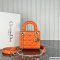 Dior Mini Lady Dior Bag