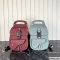 Dior Saddle Backpack