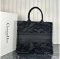 Dior Large Book Tote Multicolor
