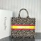 Dior Large Book Tote Multicolor
