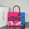 Dior Large Book Tote Multicolor