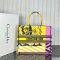 Dior Large Book Tote Multicolor