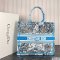 Dior Large Book Tote Multicolor