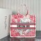 Dior Large Book Tote Multicolor
