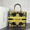 Dior Large Book Tote Multicolor
