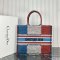Dior Large Book Tote Multicolor