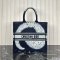 Dior Large Book Tote Multicolor