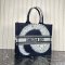 Dior Large Book Tote Multicolor