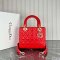 Dior Large Lady Dior Bag